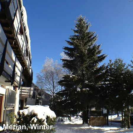 Διαμέρισμα Haus Merian